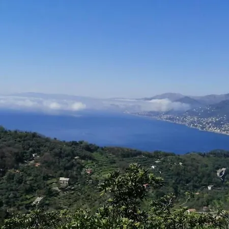 Apartment Stella Marina House -citra 010047lt-0127